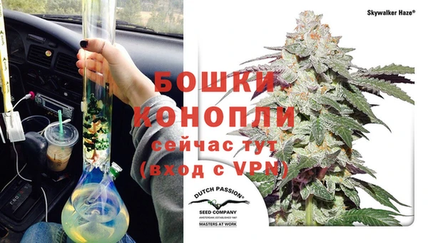 сатива Жердевка