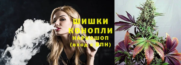 дмт Алзамай